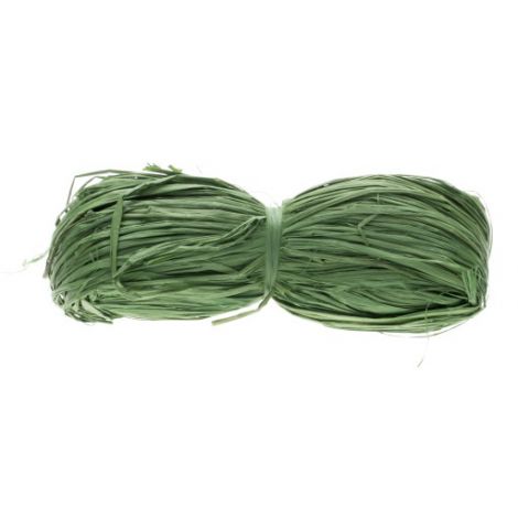 Rafia Akces 50g Zielona